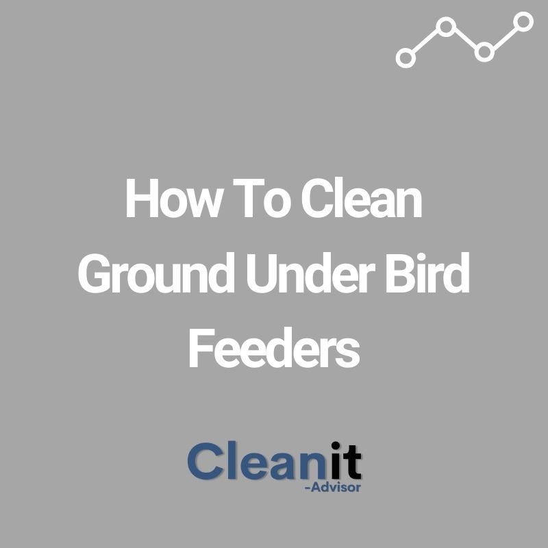 How To Clean Ground Under Bird Feeders